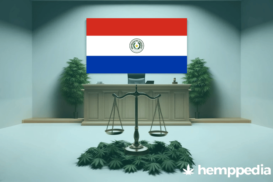 ¿Es legal el cannabis en Paraguay? – Actualización 2024