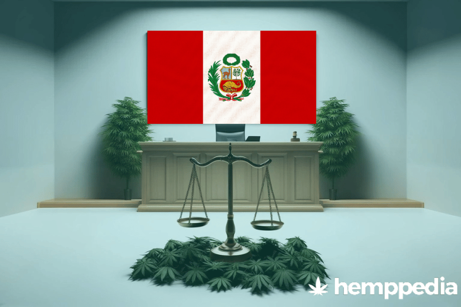 ¿Es legal el cannabis en Perú? – Actualización 2024