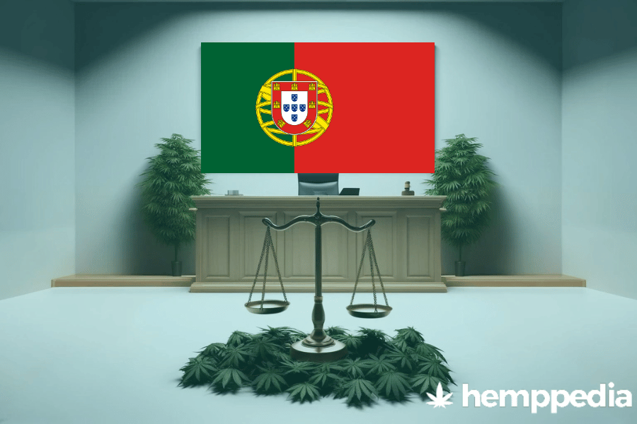 ¿Es legal el cannabis en Portugal? – Actualización 2024