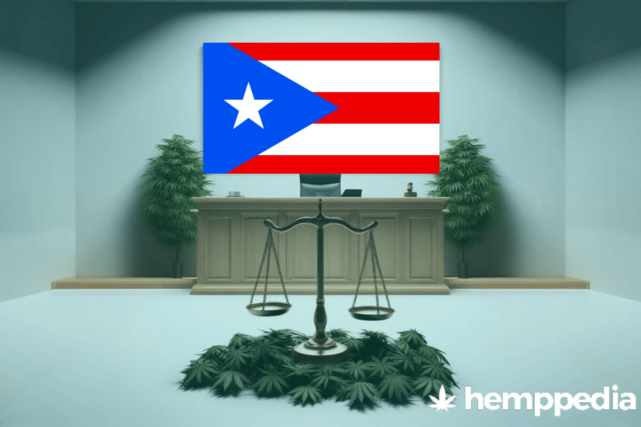 ¿Es legal el cannabis en Puerto Rico? – Actualización 2024