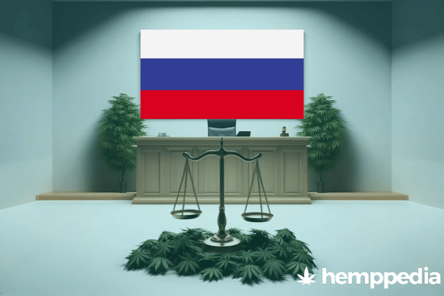 ¿Es legal el cannabis en Rusia? – Actualización 2024