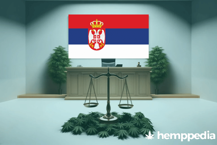 ¿Es legal el cannabis en Serbia? – Actualización 2024