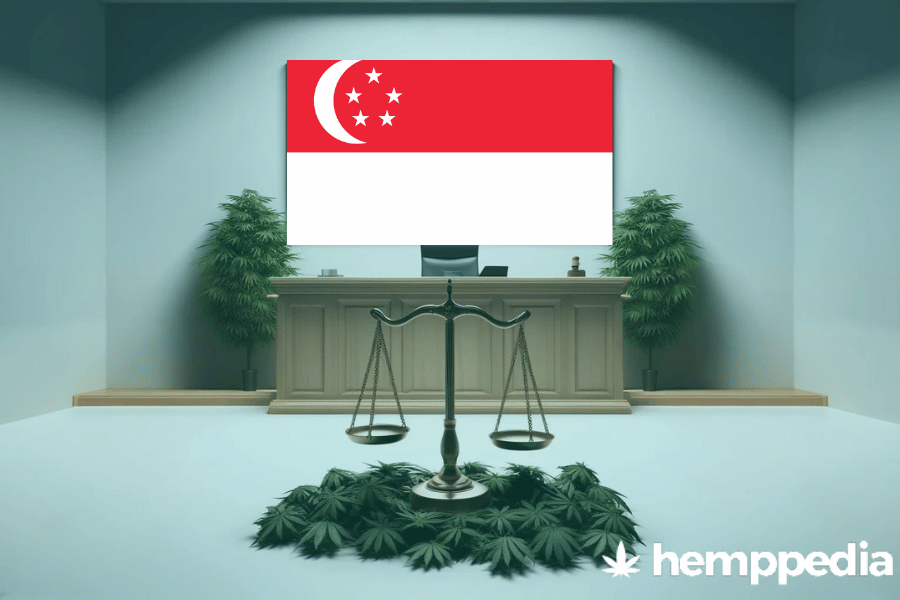 ¿Es legal el cannabis en Singapur? – Actualización 2024