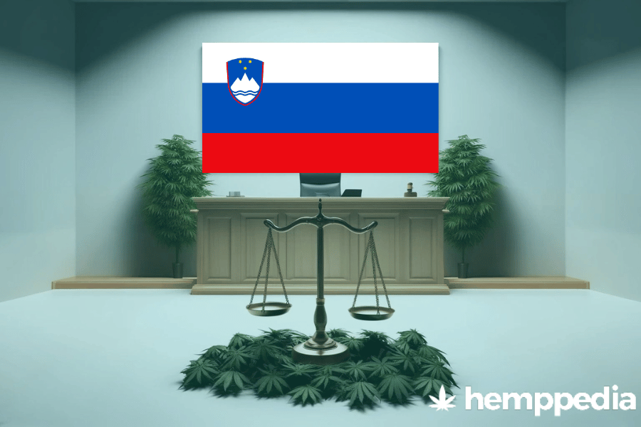 ¿Es legal el cannabis en Eslovenia? – Actualización 2024