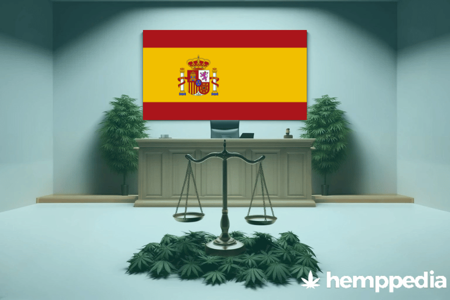 ¿Es legal el cannabis en España? – Actualización 2024