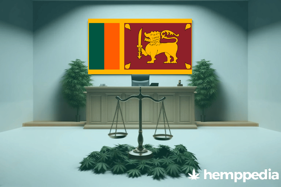 ¿Es legal el cannabis en Sri Lanka? – Actualización 2024