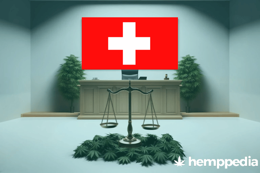 ¿Es legal el cannabis en Suiza? – Actualización 2024