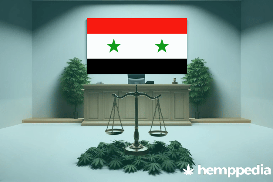 ¿Es legal el cannabis en Siria? – Actualización 2024