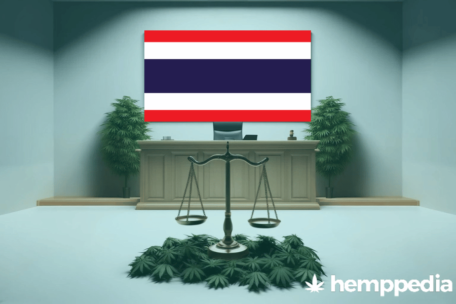 ¿Es legal el cannabis en Tailandia? – Actualización 2024