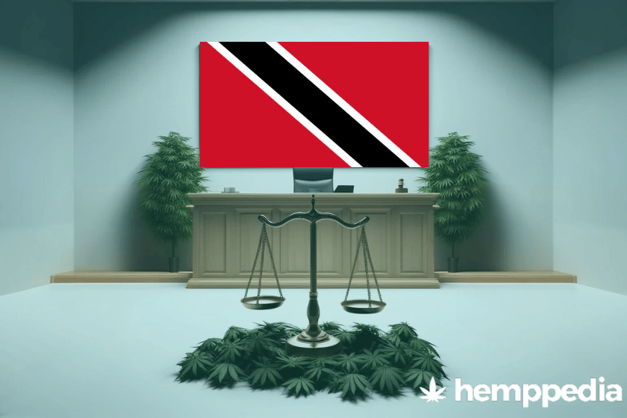 ¿Es legal el cannabis en Trinidad y Tobago? – Actualización 2024