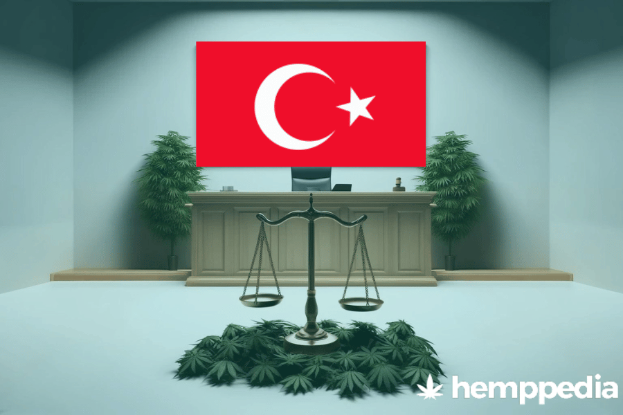 ¿Es legal el cannabis en Türkiye? – Actualización 2024