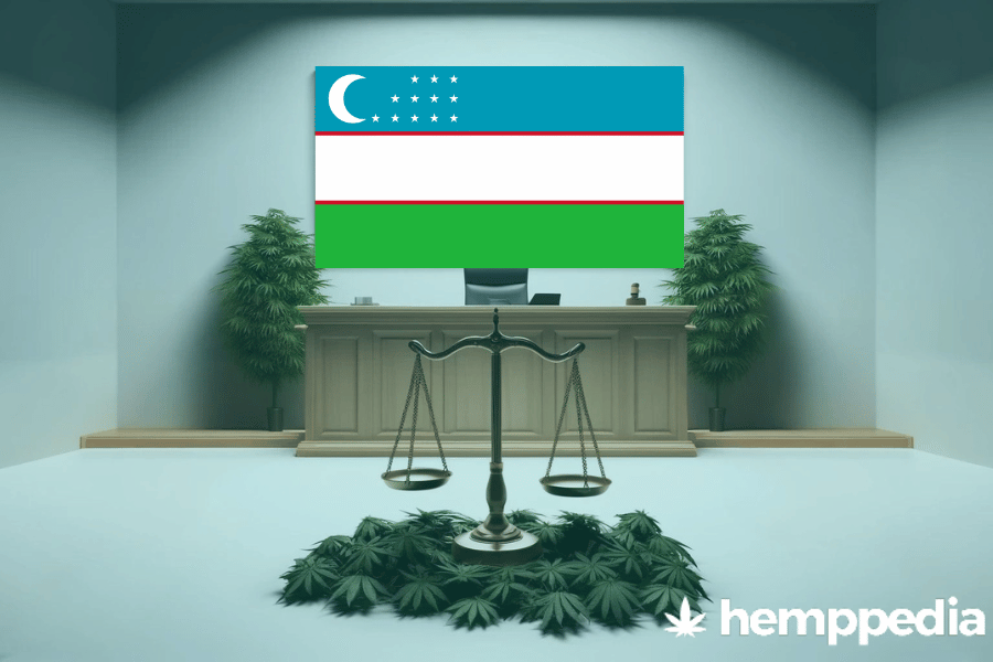 ¿Es legal el cannabis en Uzbekistán? – Actualización 2024