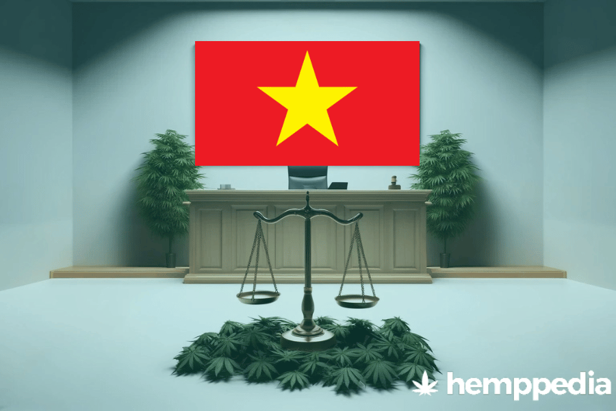¿Es legal el cannabis en Vietnam? – Actualización 2024
