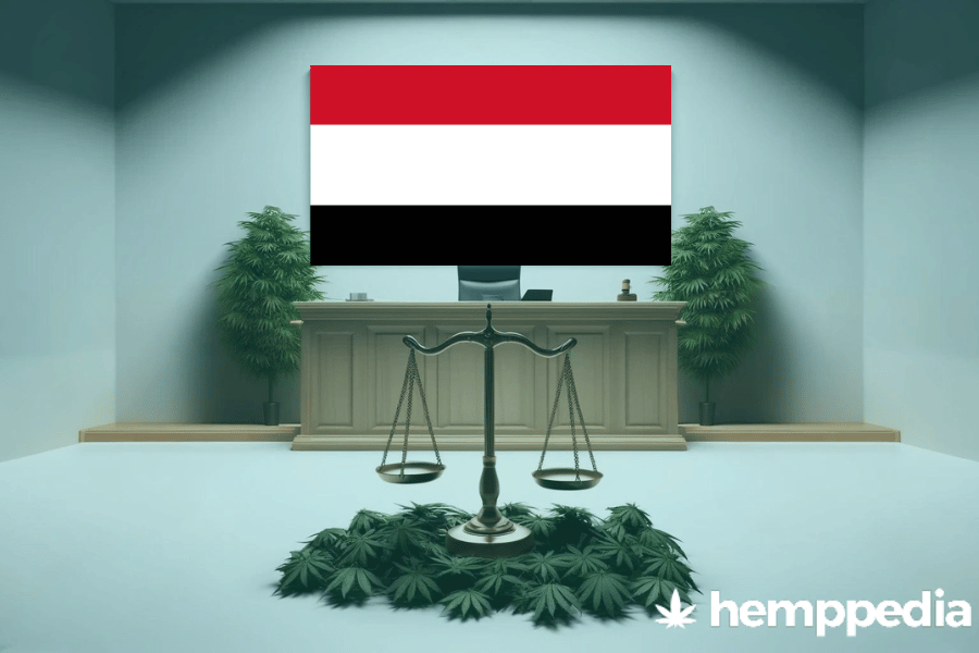 ¿Es legal el cannabis en Yemen? – Actualización 2024