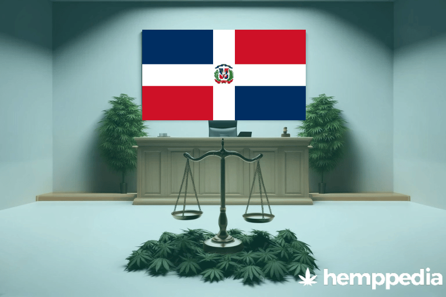 ¿Es legal el cannabis en República Dominicana? – Actualización 2024