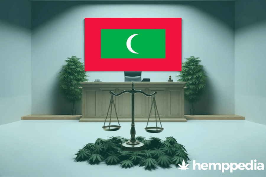 ¿Es legal el cannabis en las Maldivas? – Actualización 2024